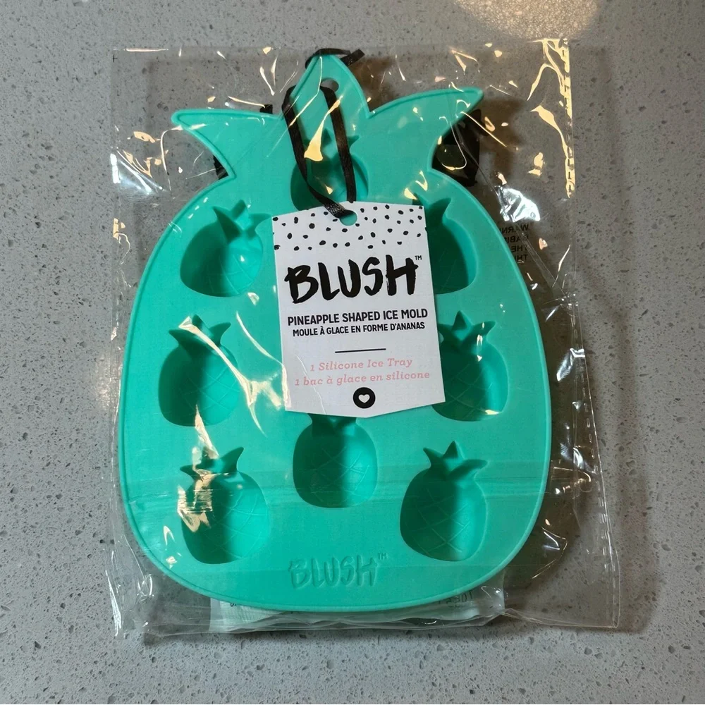 3/$25 NEW NIP BLUSH Teal Silicone PINEAPPLE 🍍 Shaped Ice Mold Tray